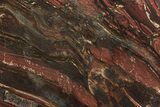 Polished Tiger Iron Stromatolite Slab - Billion Years #261993-1